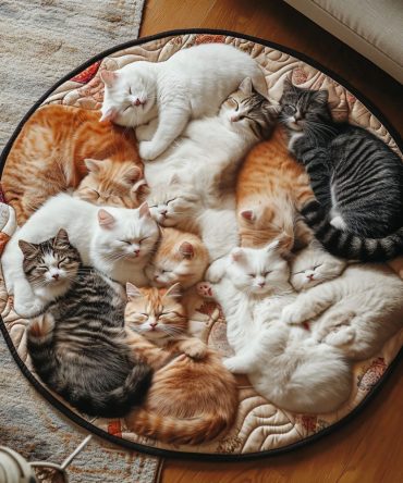 Feline Whimsy Circle Quilted Round Mat