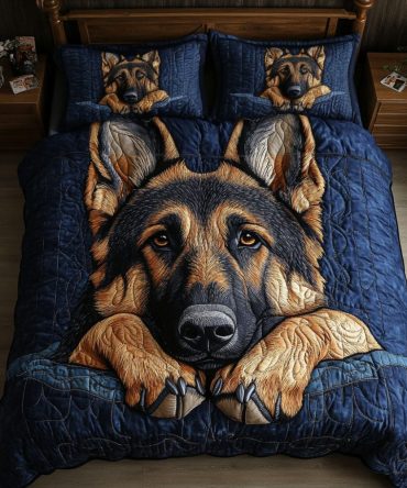 Midnight Stare 3-Piece Quilted Bedding Set