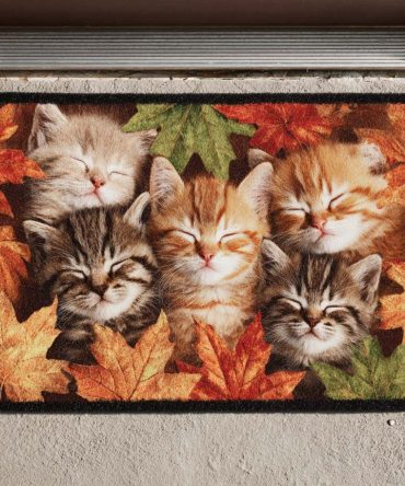 Autumn Kittens Fall Doormat — Cozy Seasonal Coir Entrance Rug, Weather-Resistant Non-Slip Mat Perfect For Porch, Home & Pet-Friendly Spaces