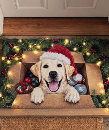 Gift Joy Holiday Welcome Mat – Festive Present & Cheer Coir Doormat, Durable Outdoor Entry Rug With Non-Slip Backing For Seasonal Porch Decor