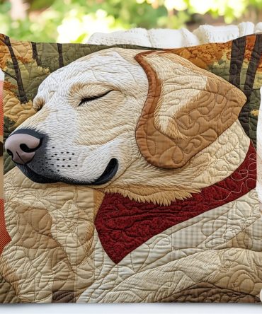 Fetch In The Fields Quilted Dog Pillow Cover — Playful Farm Dog Print Throw Pillowcase For Pet Lovers, Porch & Living Room