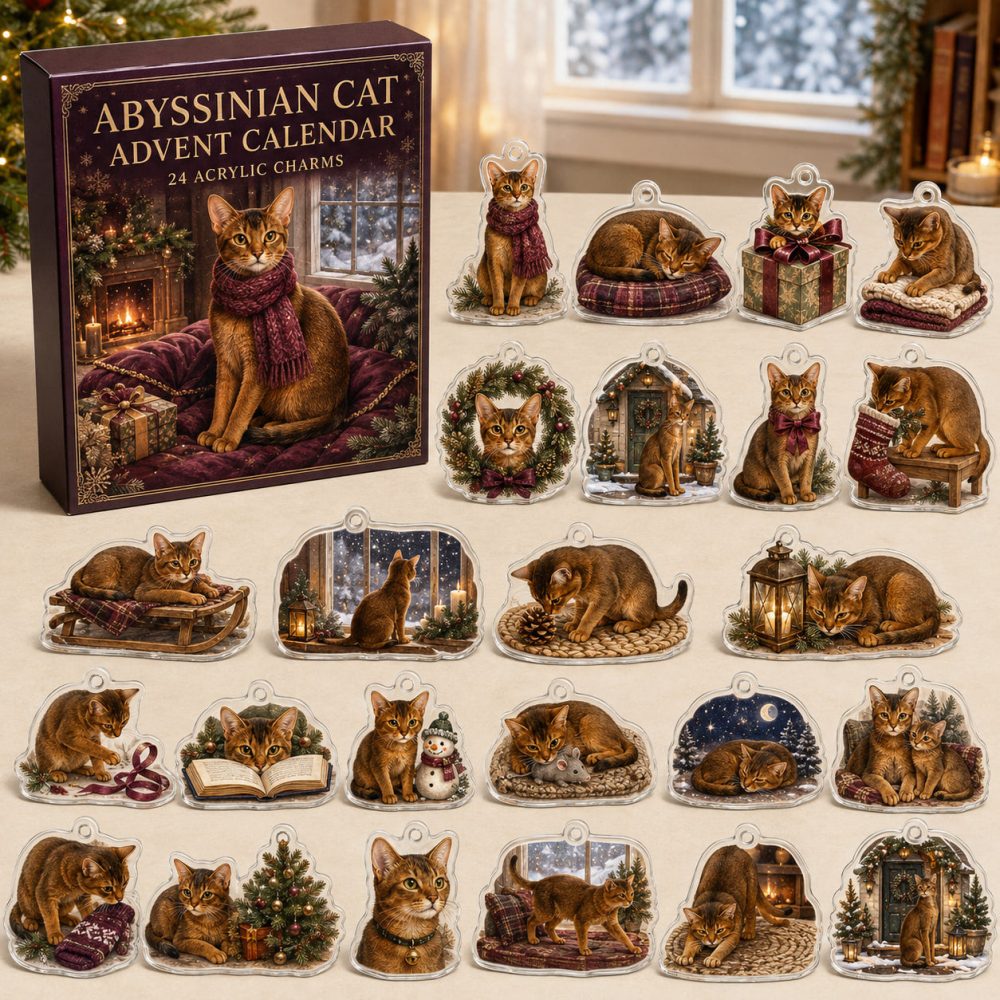 Abyssinian Holiday Advent Calendar With 24 Acrylic Charms — Elegant Seasonal Gift For Abyssinian Fans & Collectors