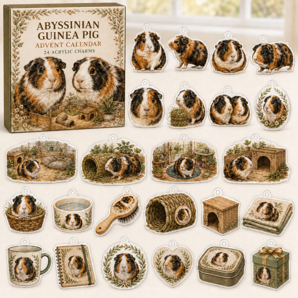 Abyssinian Guinea Pig 24-Day Holiday Charm Calendar - Acrylic Collectibles For Guinea Pig Enthusiasts , Cute Daily Gift & Christmas Countdown