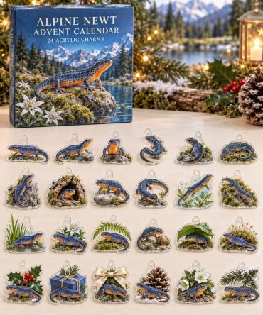 Premium Holiday Countdown Set — 24 Collectible Alpine Newt Acrylic Charms , Gift, Keychains, Stocking Stuffers