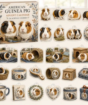 American Guinea Pig 24-Day Charm Countdown — 24 Acrylic Guinea Pig Charms In Gift Box For Collectors, Crafts & Pet Lovers
