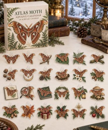 Stunning Atlas Moth Advent Countdown Calendar - 24 Oversized Acrylic Charms, Reusable Insect Collector Gift For Nature Fans