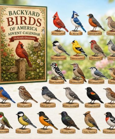 Backyard Birds 2026 Holiday Countdown — 24-Day Acrylic Charm Advent Calendar For Bird Lovers & Home Décor Gifts