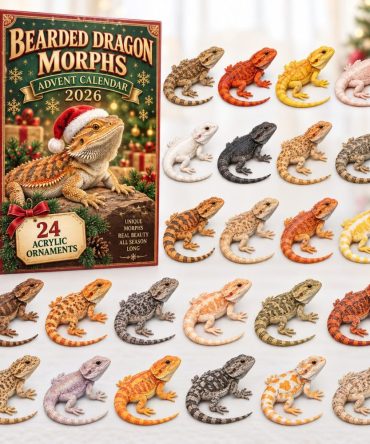 Bearded Dragon Morphs Advent 2026 - 24 Acrylic Morph Charms, Colorful Reptile Countdown For Collectors & Enthusiasts