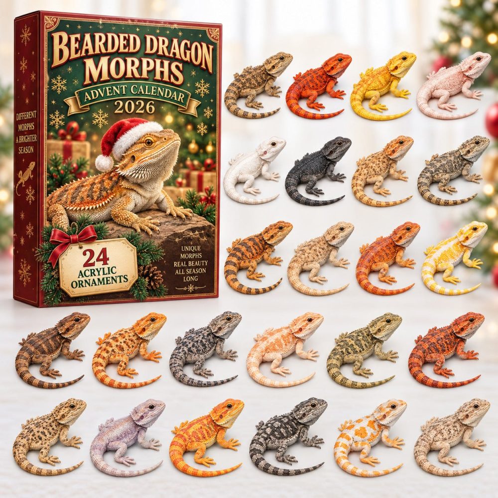 Bearded Dragon Morphs Advent 2026 - 24 Acrylic Morph Charms, Colorful Reptile Countdown For Collectors & Enthusiasts
