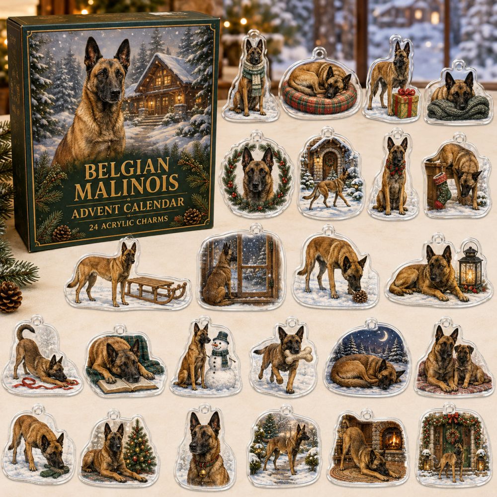 Belgian Malinois Holiday Countdown Calendar - 24 Acrylic Working Dog Charms, Ideal Gift For K9 & Trainer Fans