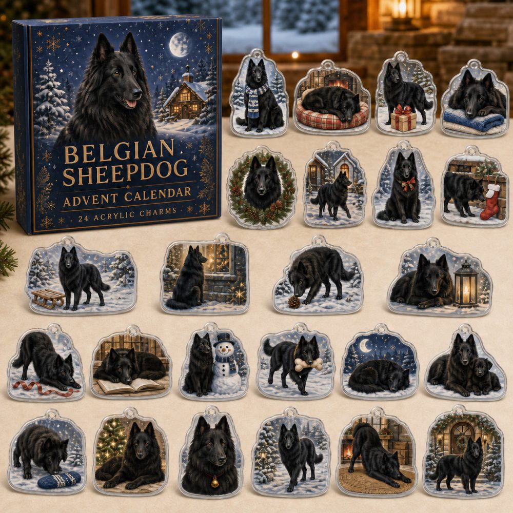 Belgian Sheepdog Holiday Countdown Calendar - 24 Acrylic Shepherd Charms, Unique Gift For Malinois & Groenendael Fans
