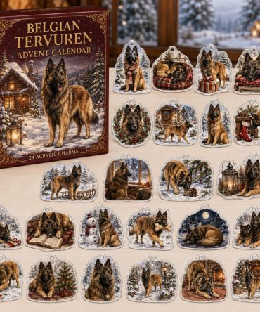 Belgian Tervuren Holiday Countdown Calendar - 24 Acrylic Charms, Festive Gift Box For Tervuren Enthusiasts