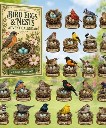 Bird Eggs & Nests 24-Day Countdown 2026 — Nature-Inspired Acrylic Charm Advent Calendar For Birdwatchers, Gardeners & Crafters