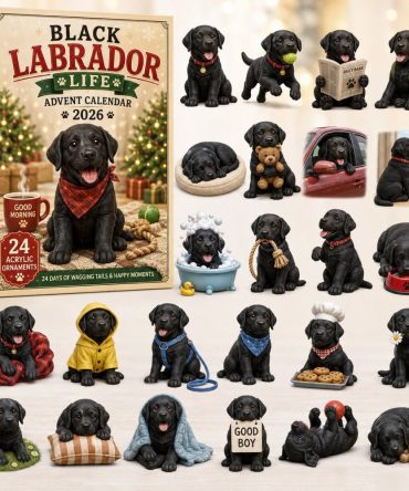 Black Labrador Holiday Advent Calendar 2026 — 24-Day Acrylic Charm Countdown For Labrador Lovers, Gift Boxed Surprise