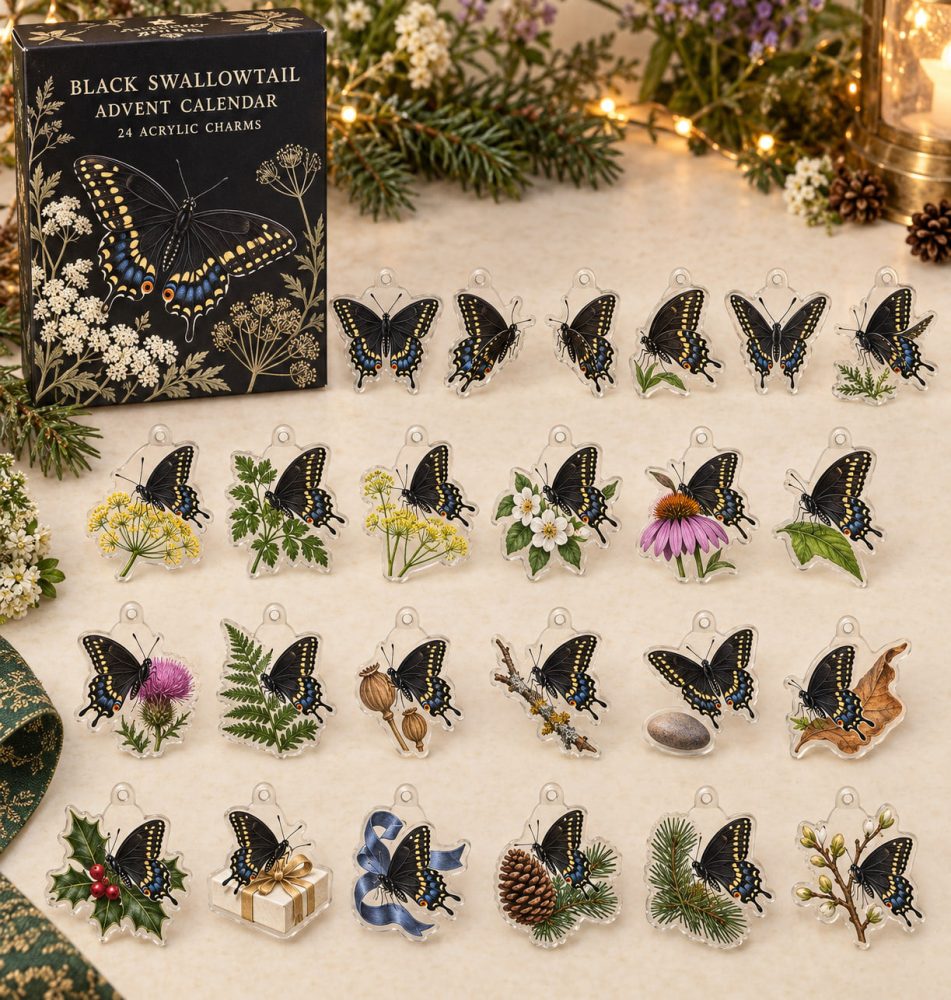 24-Day Black Swallowtail Butterfly Acrylic Charm Advent Calendar — Elegant Butterfly Countdown Set For Gifts, Diy Jewelry & Collectors