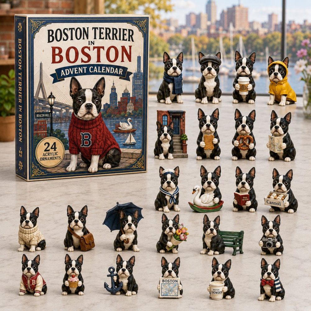 Boston Terrier In Boston 2026 Advent Calendar — 24-Day Countdown With Acrylic Charms, Boston City-Themed Dog Gift & Collectible