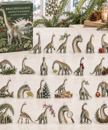 24-Day Acrylic Charm Advent Calendar — Brachiosaurus Dinosaur Series , Towering Dino Countdown For Young Fans
