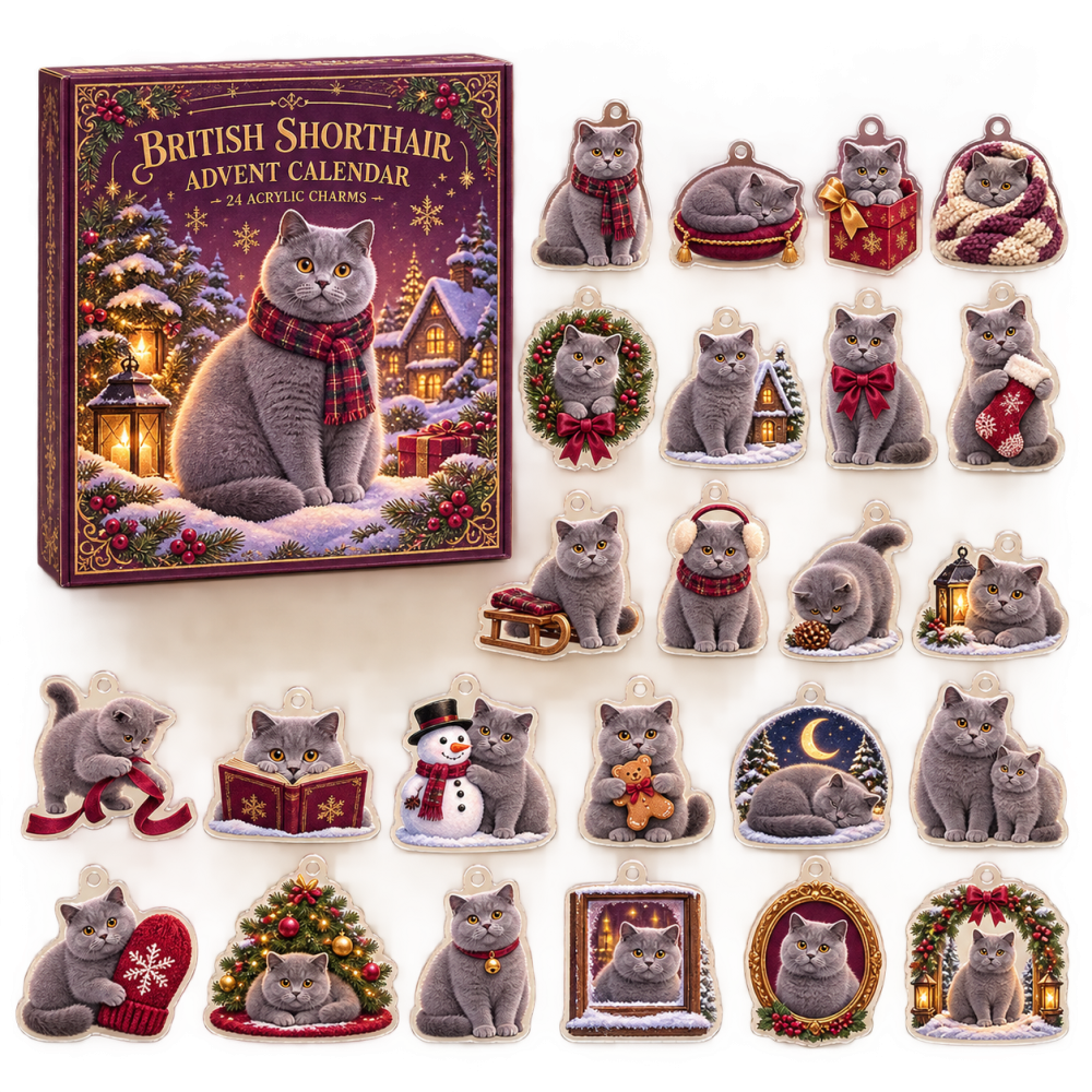 British Shorthair Holiday Charm Countdown — 24 Acrylic Collectible Days For Cat Enthusiasts, Festive Ornaments & Gifts