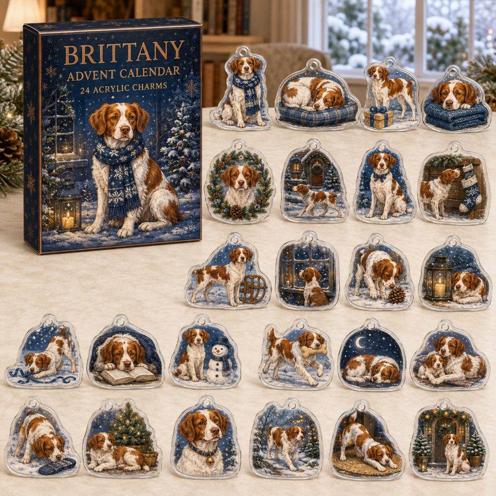 Brittany Holiday Advent Calendar — 24 Acrylic Dog Charms, Christmas Countdown Ornaments & Gift For Brittany Spaniel Lovers