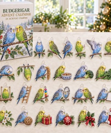 Playful Budgerigar Parrot Advent Countdown Calendar - 24 Acrylic Charms, Collectible Reusable Gift For Pet Bird Lovers