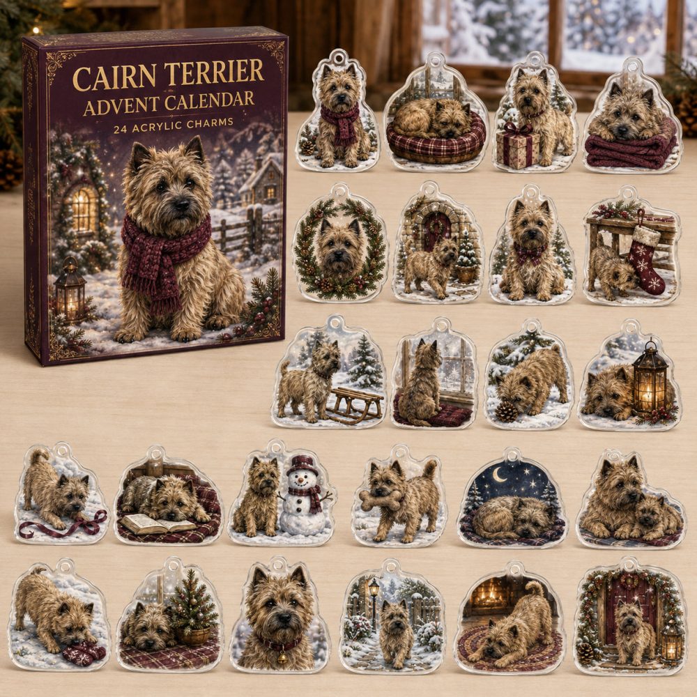 Deluxe Cairn Terrier Holiday Countdown Calendar - 24 Acrylic Dog Charms, Festive Boxes, Perfect Gift For Terrier Lovers