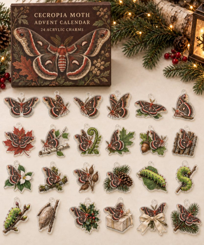 Premium Holiday Countdown Set — 24 Collectible Cecropia Moth Acrylic Charms , Gift, Keychains, Stocking Stuffers