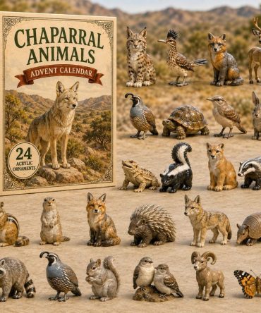 Chaparral Wildlife Advent Countdown 2026 — 24-Day Acrylic Charm Set, Desert Animal Collectible Calendar & Gift