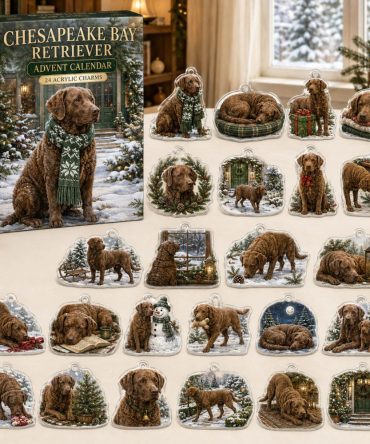 Chesapeake Bay Retriever Holiday Advent — 24 Rugged Acrylic Charms, Perfect Seasonal Gift For Chesapeake Retriever Fans & Collectors