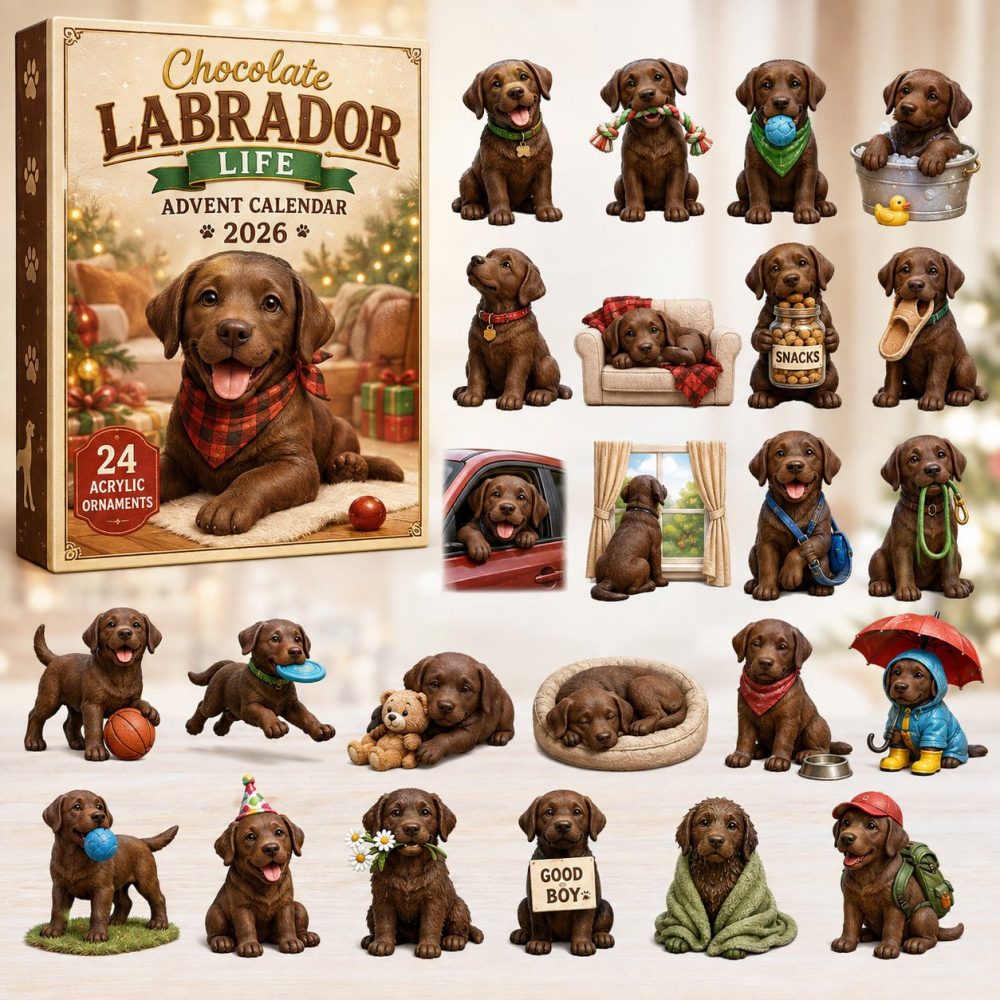 Chocolate Labrador Life 24-Day Christmas Countdown Calendar 2026 — Acrylic Charms, Keepsake Gift For Chocolate Lab Fans