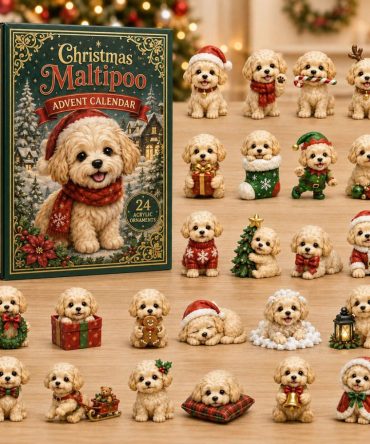 2026 Christmas Maltipoo Charm Calendar - 24 Acrylic Surprises, Festive Puppy Countdown Gift With Collectible Charms