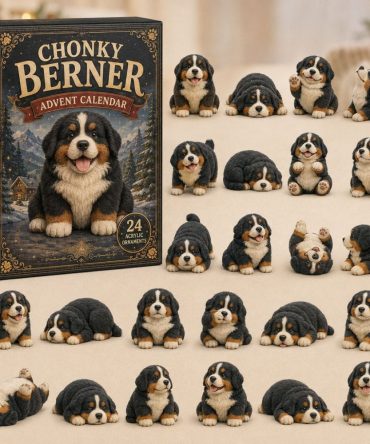 Chubby Berner 24-Day Advent Calendar — 2026 Bernese Mountain Dog Acrylic Charms, Holiday Countdown Gift For Dog Lovers