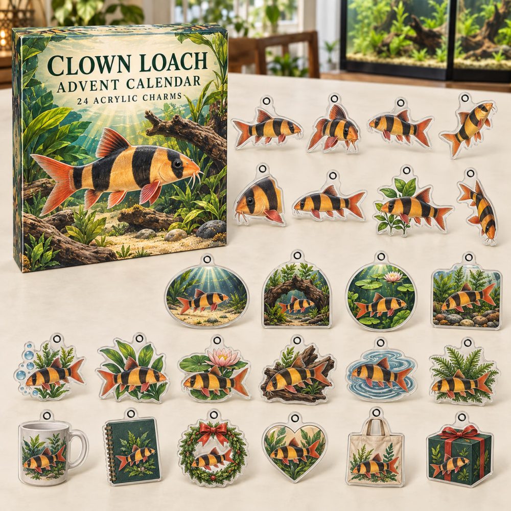 Clown Loach Holiday Charm Calendar — 24 Fun Acrylic Charms For Catfish & Loach Fans , Unique Aquarium Gift Set