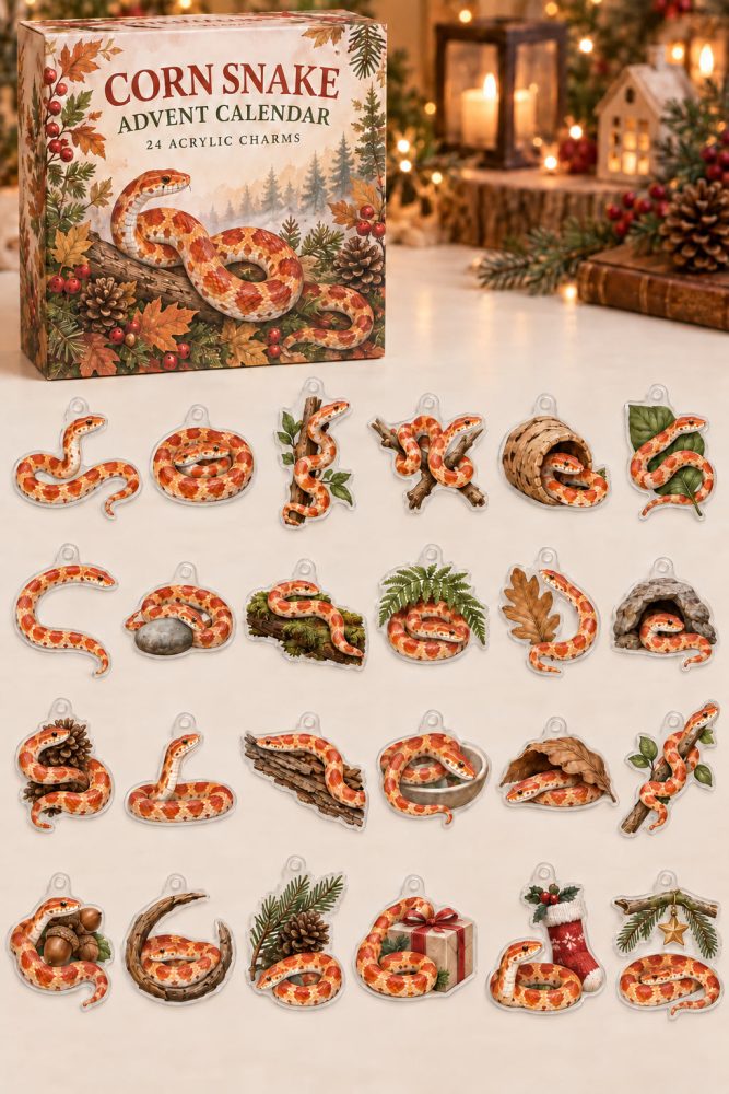 Corn Snake Advent Countdown — 24 Vivid Acrylic Snake Charms, Reptile-Lover 2026 Holiday Gift & Collectible Countdown Set