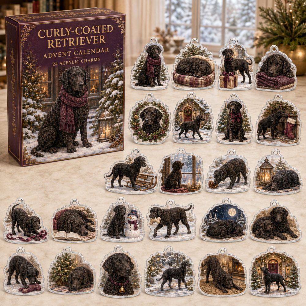 Curly-Coated Retriever Holiday Countdown Set — 24 Collector-Grade Acrylic Charms, Stylish Advent Gift For Retriever Lovers