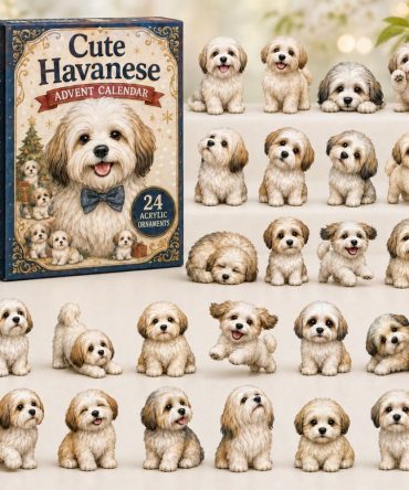 Cute Havanese 2026 Advent Calendar — 24-Day Acrylic Charm Set Packed With Adorable Havanese Pup Designs, Gift-Ready