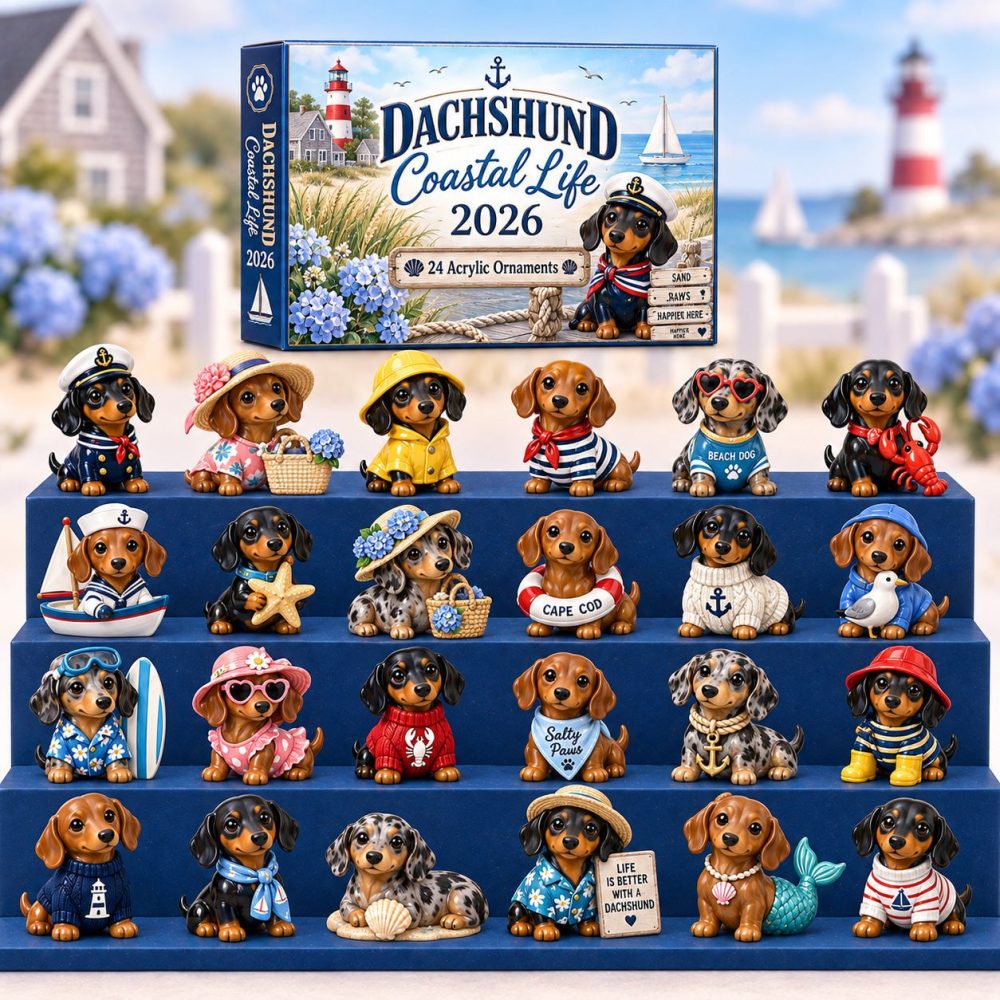 Coastal Dachshund Holiday Countdown — 24 Nautical Acrylic Charms, 2026 Beach-Themed Advent Calendar Gift For Dog Lovers
