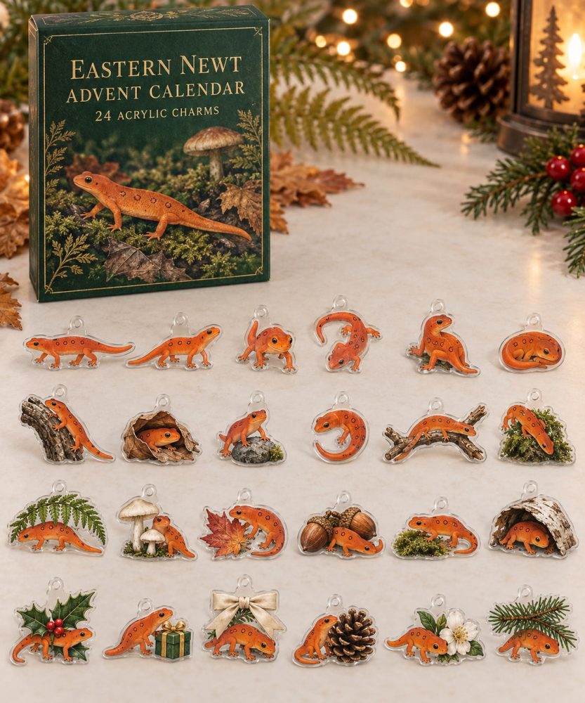 Premium Holiday Countdown Set — 24 Collectible Eastern Newt Acrylic Charms , Gift, Keychains, Stocking Stuffers