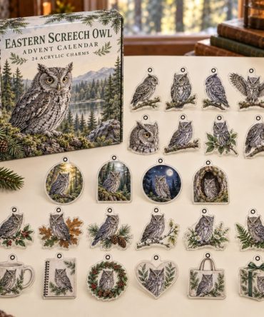 Eastern Screech Owl 24-Day Countdown — Charming Acrylic Owl Charms For Advent, Ornaments & Gifts , Perfect For Owl Enthusiasts