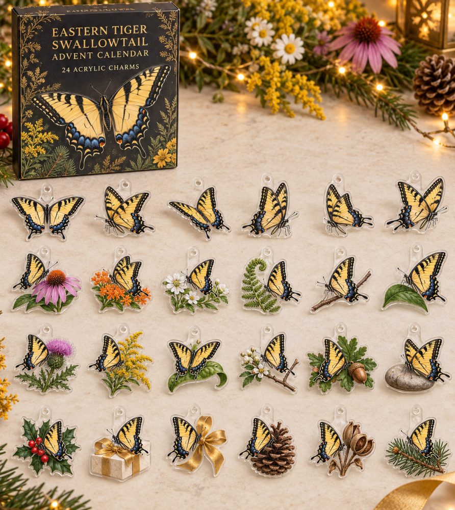 Premium Holiday Countdown Set — 24 Collectible Eastern Tiger Swallowtail Acrylic Charms , Gift, Keychains, Stocking Stuffers