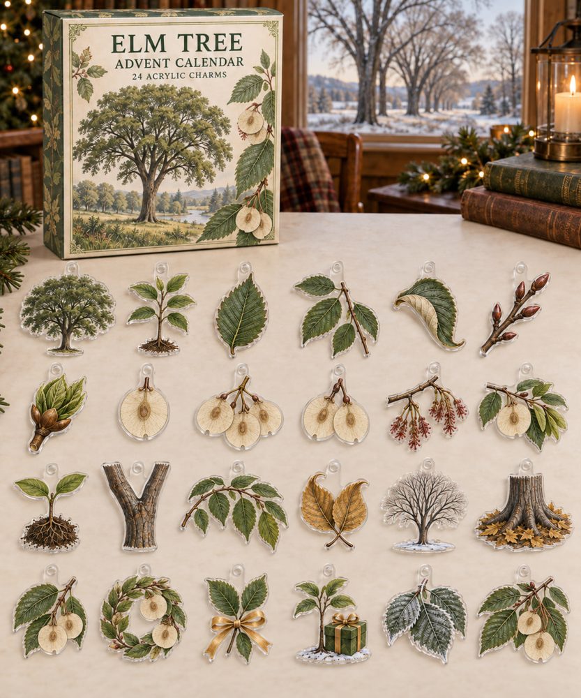 24-Day Acrylic Charm Advent Calendar — Elm Tree Theme , Holiday Countdown Gift Set With 24 Collectible Charms