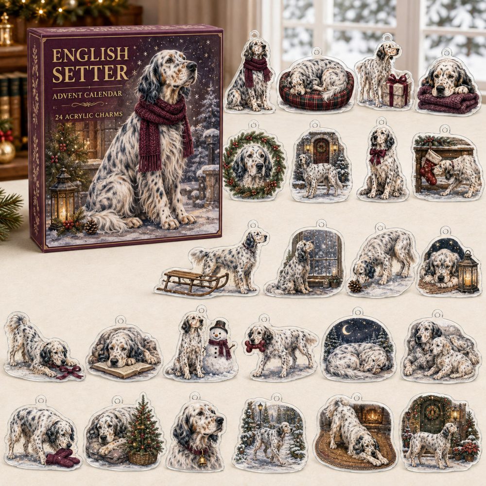 English Setter Holiday Advent Calendar — 24 Charming Acrylic Ornaments, Elegant Countdown Gift For English Setter Lovers