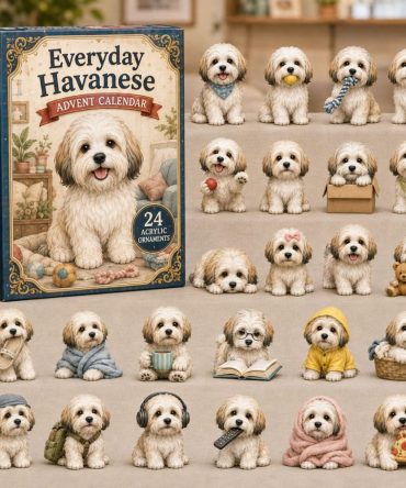 Everyday Havanese 2026 Advent Calendar — 24-Day Acrylic Charm Set For Havanese Fans, Cute Small Dog Keepsakes