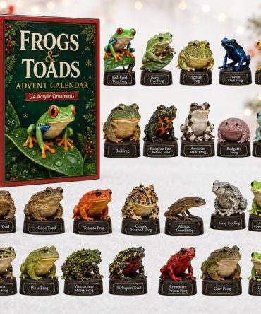 Frogs & Toads Garden Countdown Calendar 2026 — 24-Day Acrylic Charm Collection With Amphibian Tokens, Charming Nature Gift