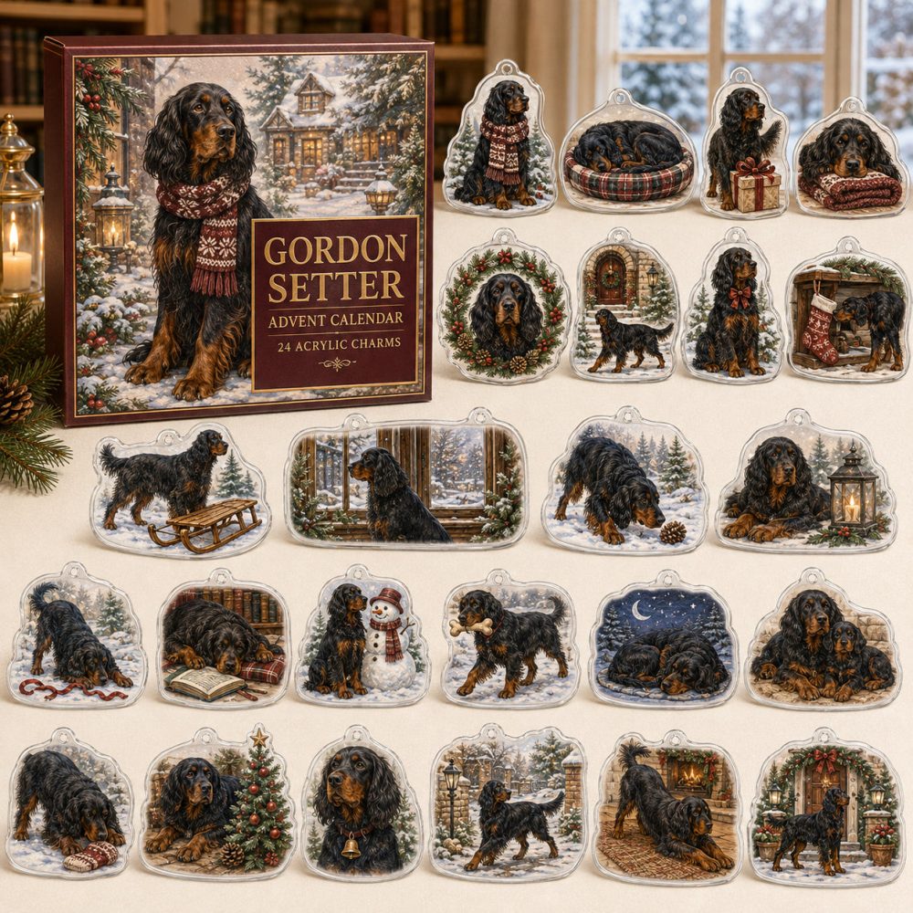 Gordon Setter Holiday Advent Collection — 24 Premium Acrylic Charms, Elegant Countdown Gift For Gordon Setter Admirers