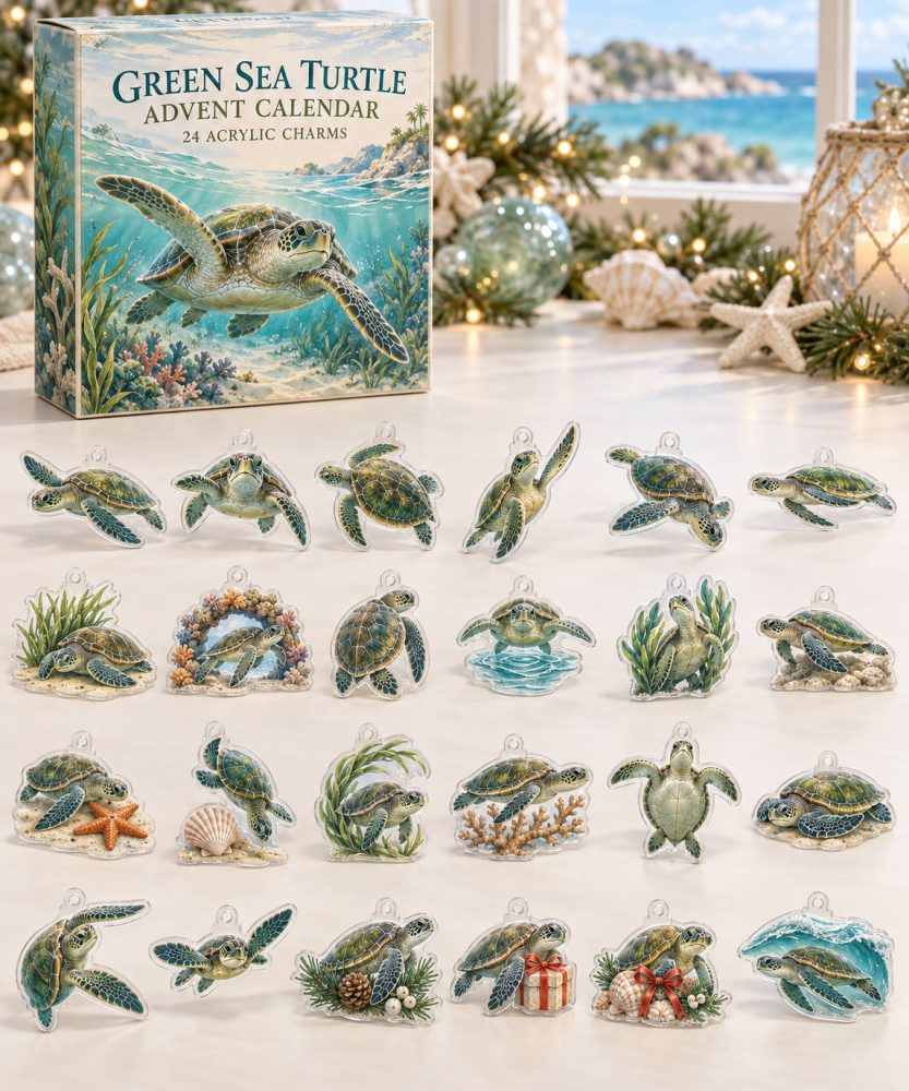 Premium 24-Piece Green Sea Turtle Advent Countdown Calendar — Acrylic Charm Set For Ocean Lovers & Holiday Gift Surprises