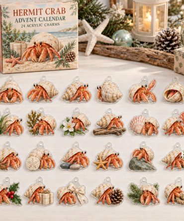 Hermit Crab Adventure Advent Calendar — 24 Playful Acrylic Shell & Crab Charms, Beach-Themed Countdown Gift For Kids & Collectors