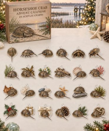 Horseshoe Crab Collector'S Advent Calendar — 24 Detailed Acrylic Marine Charms, Educational Ocean-Themed Countdown Gift For Kids & Adults