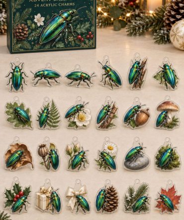 24-Day Jewel Beetle Acrylic Charm Advent Calendar — Sparkling Collectible Bug Charms For Holiday Countdown, Diy Jewelry & Party Favors