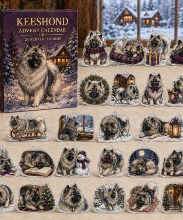 Keeshond Holiday Countdown Calendar - 24 Acrylic Charm Set, Fluffy Companion Gift In Festive Presentation Box