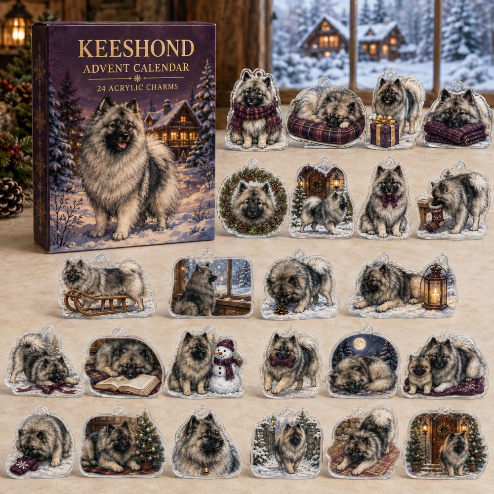 Keeshond Holiday Countdown Calendar - 24 Acrylic Charm Set, Fluffy Companion Gift In Festive Presentation Box